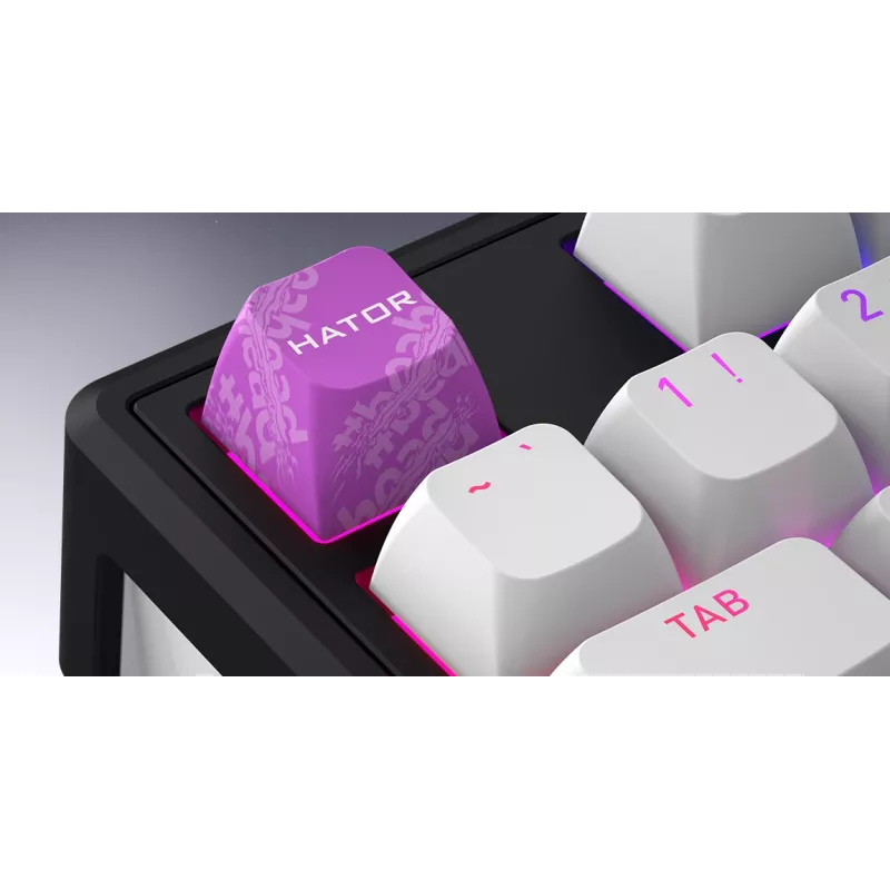 HATOR Skyfall 80 MAG ULTIMA 8K langaton näppäimistö pelikäyttöön USB + RF Wireless + Bluetooth QWERTY US English musta, valkoinen