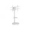 TECHLY lattiaständi rullavaunuhyllyllä LCD/LED/Plasma TV 37-86