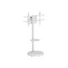 TECHLY lattiaständi rullavaunuhyllyllä LCD/LED/Plasma TV 37-86