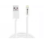 SANDBERG 440-94 SANDBERG kaapeli USB>Lightning 2M Apple-hyväksytty