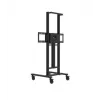 Avtek TS Electric Stand Light moottoroitu näyttöteline (1MV145)