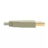 USB 2.0 A - B -kaapeli Tripp Lite U022-006-BE 1,8 m beige