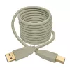 USB 2.0 A - B -kaapeli Tripp Lite U022-006-BE 1,8 m beige