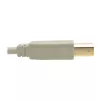 USB 2.0 A - B -kaapeli Tripp Lite U022-006-BE 1,8 m beige