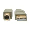 USB 2.0 A - B -kaapeli Tripp Lite U022-006-BE 1,8 m beige
