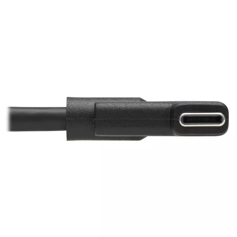 USB-C-kaapeli Tripp Lite U420-02M-RA 2 m USB 3.2 Gen 1 Thunderbolt 3 kulmamalli