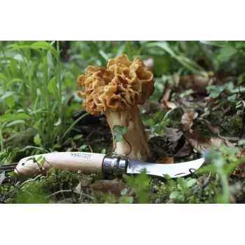 Taskuveitsi Opinel
