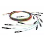 Telegärtner InfiniBand-kuitukaapeli 2 m 12x SC monivärinen