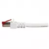 Verkkokaapeli EFB Elektronik K5518.30 RJ-45 Cat6 30 m valkoinen