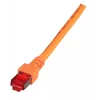 Verkkokaapeli EFB Elektronik K5516.50 RJ-45 Cat6 50 m oranssi