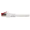 Verkkokaapeli EFB Elektronik K5518.50 RJ-45 Cat6 50 m valkoinen
