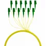 EFB Elektronik FTTH-PIGTAIL-LCA1 2 m LC/APC 6x LC OS2 -kuitukaapeli