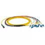 Kuitukaapeli EFB Elektronik MTPF12LCOS2-2