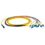 Kuitukaapeli EFB Elektronik MTPF12LCOS2-3