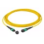Kuitukaapeli EFB Elektronik MTPF12MTPFOS2-1