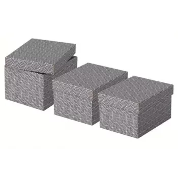 Säilytyslaatikko Esselte 628281 harmaa suorakaide 200x255x150 mm