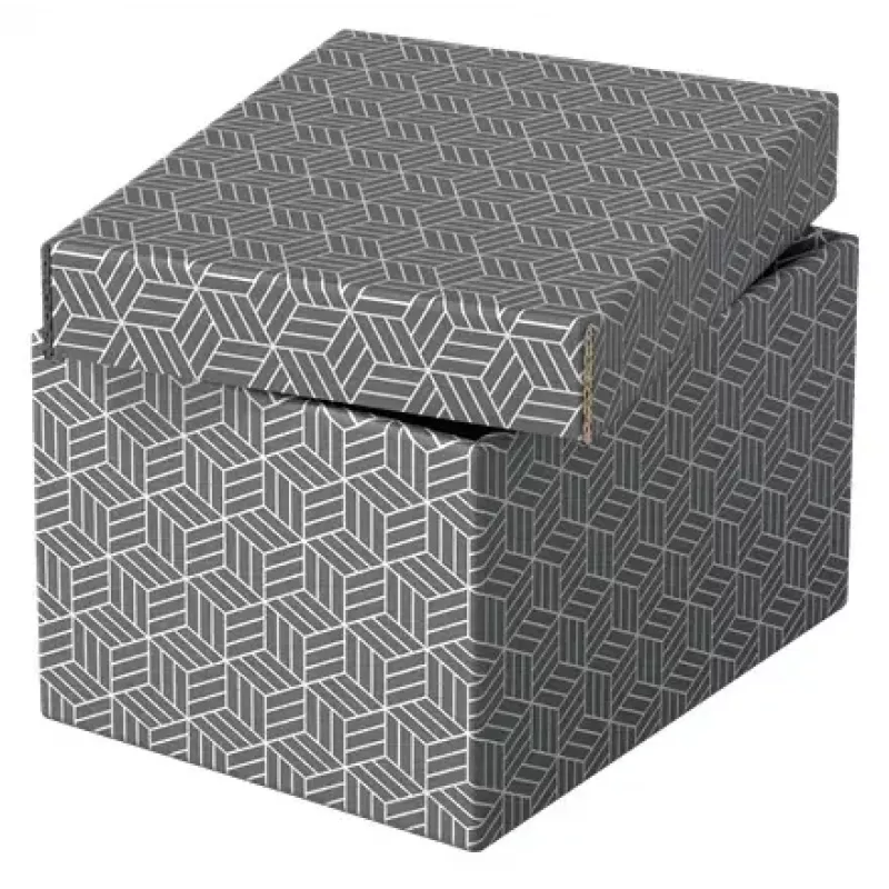 Säilytyslaatikko Esselte 628281 harmaa suorakaide 200x255x150 mm