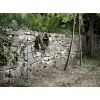 Letku Kärcher Performance Plus 3/4 tuumaa -50m