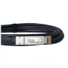 DAC-kaapeli BlueOptics PAN-QSFPDD-DAC-2M-BL QSFP-DD InfiniBand 2 m musta