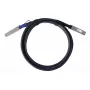 DAC-kaapeli BlueOptics PAN-QSFPDD-DAC-2M-BL QSFP-DD InfiniBand 2 m musta