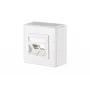 METZ CONNECT 1309150002-E seinäpeitelevy, 2 moduulia, puhtaanvalkoinen RAL 9010