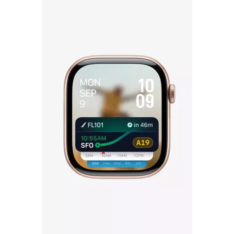 Älykello Apple Watch Series 10 GPS + Cellular 42 mm liuskekivitäniö musta