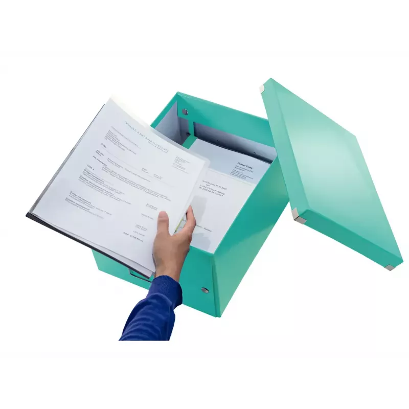 Säilytyslaatikko Leitz Click & Store Medium Box