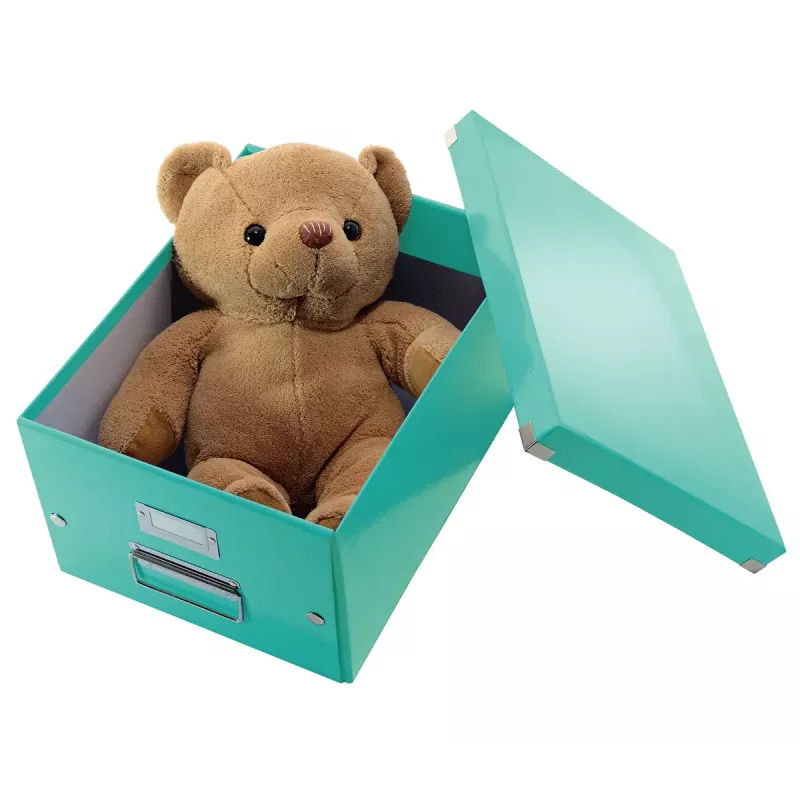 Säilytyslaatikko Leitz Click & Store Medium Box