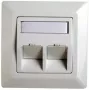 RJ45-adapterikehys Cat.5e Telegärtner H02010A0040 45° kaksinkertainen 80x80 mm alppivalkoinen