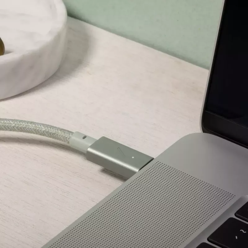 Native Union Belt Cable Pro USB-C - USB-C, 2,4 m, LED-näyttö, Rose