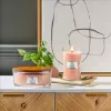 WoodWick-kynttilä Manuka Nectar 90 mm x 190 mm x 120 mm 1 kpl