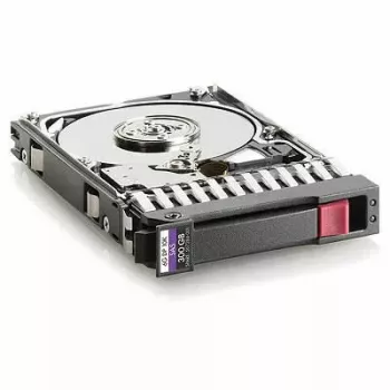HDD Hewlett Packard Enterprise 300 Gb 2,5 tuumaa SAS EG0300FBDBR