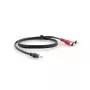 Audiokaapeli Kramer Electronics C-A35M/2RAM-25 7,6 m 3,5 mm 2 x RCA musta