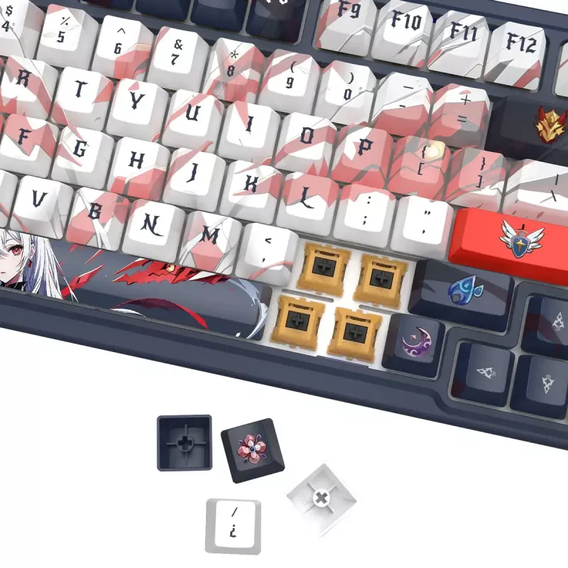 Mekaaninen näppäimistö REDRAGON K686AK-RGB-PRO — RF Wireless + USB, Navy White, 1,5 m kaapeli