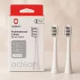 Vara-hammasharjanpäät OCLEAN P1C10 harmaa, 2 kpl