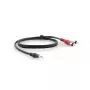 Audiokaapeli Kramer Electronics C-A35M/2RAM-3 0,9 m 3,5 mm 2xRCA musta