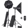 Elinchrom D-Lite RX 4/4 To Go studiosalamasarja (EL-20839)