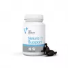 VetExpert NeuroSupport 45 kapselia.