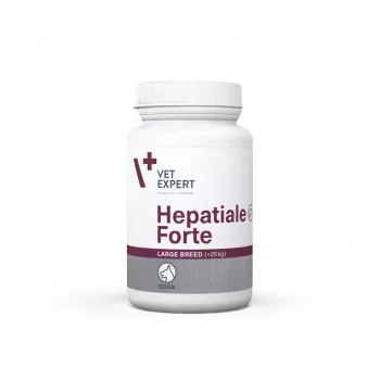 VetExpert Hepatiale Forte Large Breed 40 tablettia.