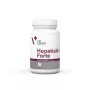 VetExpert Hepatiale Forte Large Breed 40 tablettia.