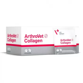 VETEXPERT ArthroVet Collagen – ravintolisä koirille ja kissoille – 60 pussia