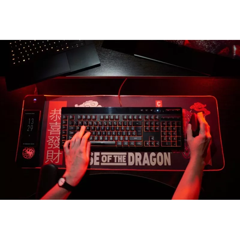 Numskull hiirimatto House of the Dragon + langaton lataus 30x80cm