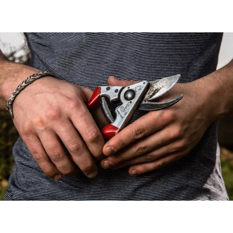 Oksasakset Felco FELCO-8_FEL