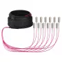 EFB Trunk-kaapeli U-DQ(ZN)BH OM4 12G (1x12) SC-SC 10m Dca LSZH