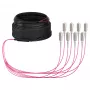 EFB Trunk-kaapeli U-DQ(ZN)BH OM4 8G (1x8) SC-SC 20m Dca LSZH
