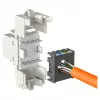 Modulaarinen RJ-45 tulomoduuli EFB Elektronik ECOLAN E-20080, valkoinen