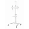TV-teline lattiajalusta 37-70/WEISS TVS-70T-02-W Gembird