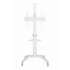 TV-teline lattiajalusta 37-70/WEISS TVS-70T-02-W Gembird