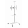 TV-teline lattiajalusta 37-70/WEISS TVS-70T-02-W Gembird
