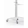 TV-teline lattiajalusta 37-70/WEISS TVS-70T-02-W Gembird